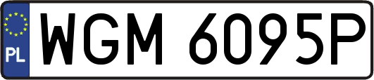 WGM6095P