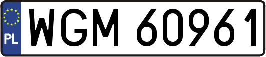 WGM60961