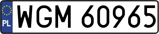WGM60965