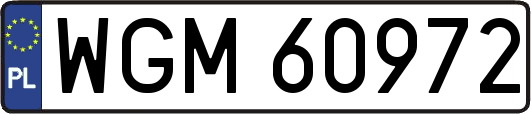 WGM60972