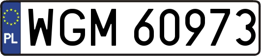 WGM60973
