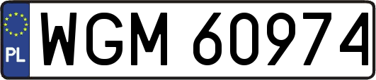 WGM60974