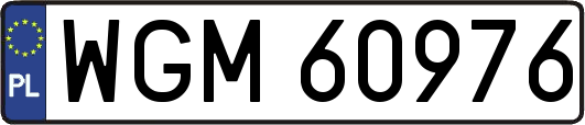 WGM60976