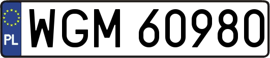 WGM60980