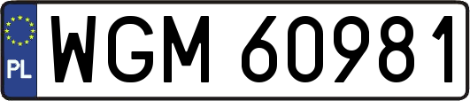 WGM60981