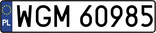 WGM60985