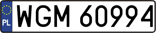 WGM60994
