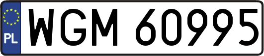 WGM60995