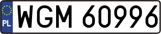 WGM60996