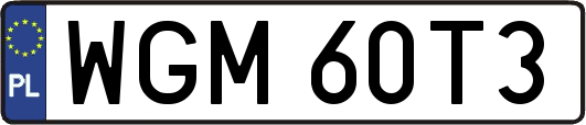 WGM60T3