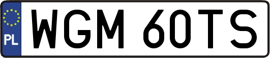 WGM60TS