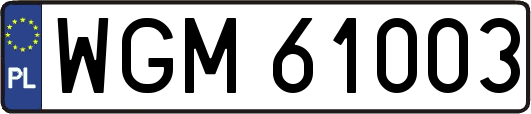 WGM61003