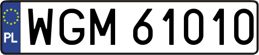 WGM61010