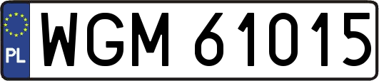 WGM61015