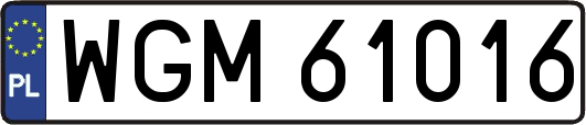WGM61016