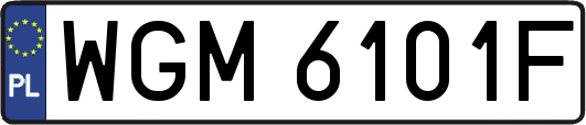 WGM6101F