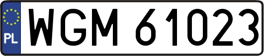 WGM61023