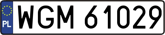 WGM61029