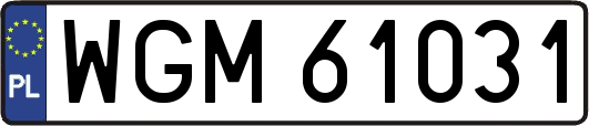 WGM61031