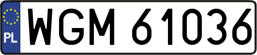 WGM61036
