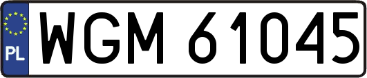 WGM61045