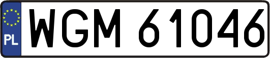 WGM61046