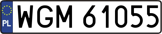 WGM61055