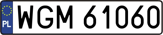 WGM61060