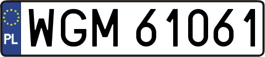 WGM61061
