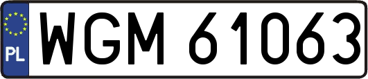 WGM61063