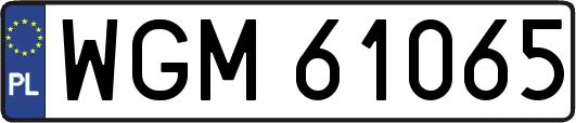 WGM61065