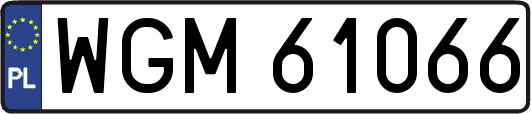 WGM61066