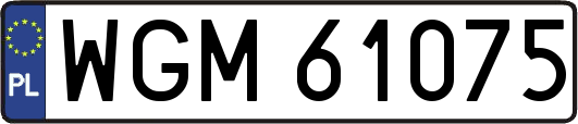 WGM61075