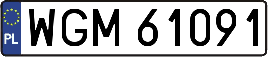 WGM61091