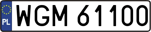 WGM61100