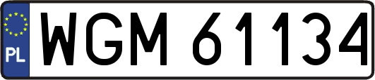 WGM61134