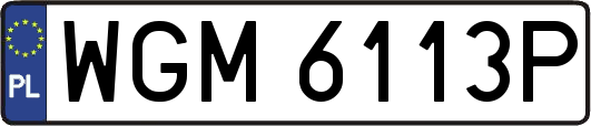 WGM6113P