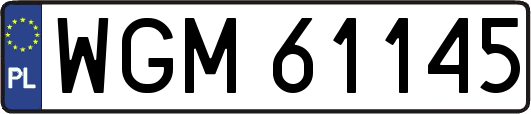 WGM61145