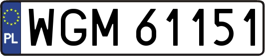 WGM61151