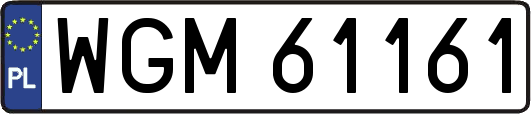 WGM61161