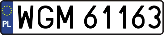 WGM61163