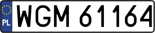 WGM61164