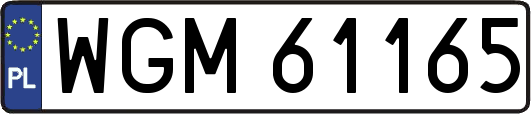WGM61165