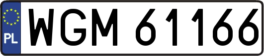 WGM61166