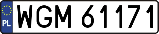 WGM61171