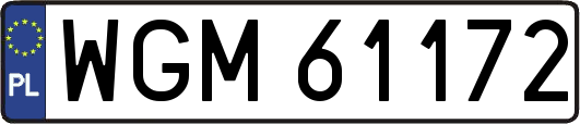 WGM61172