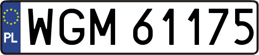 WGM61175