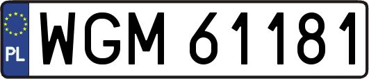 WGM61181