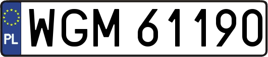 WGM61190