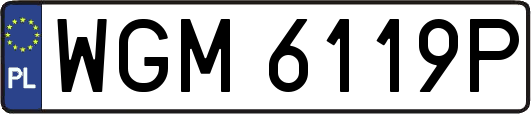 WGM6119P